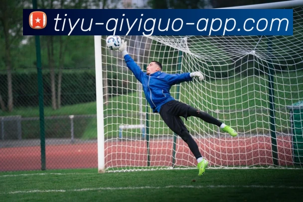 奇异果体育平台生态图