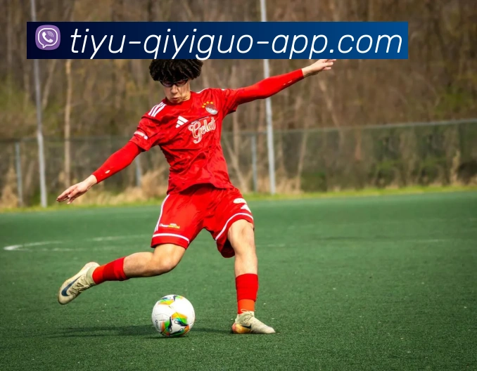 奇异果体育全站App