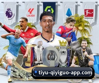 奇异果体育 APP(qyg)